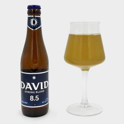 DAVID 8.5 Strong Blond