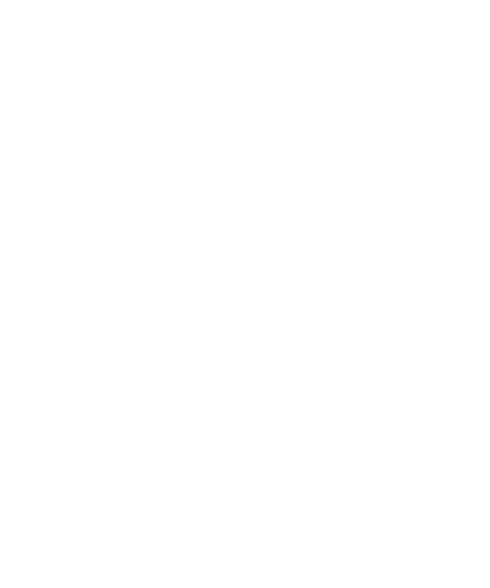 AA-Fest
